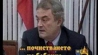 Бобри