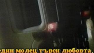 Защо един молец търси любовта