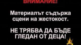 Кучета 2