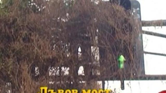 Лъвов мост-подобрения