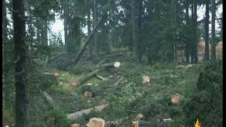 Рила под заплаха - 2
