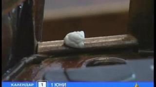 Депутатски дъвки