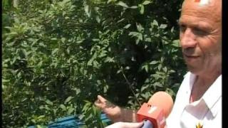 Пейка за секс