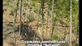 Екологично бедствие