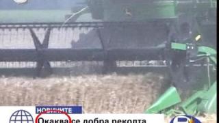 Реколта и оборска тор