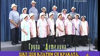 Пенсионерска песен