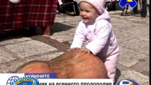 Господар на седмицата - 42/ 2008