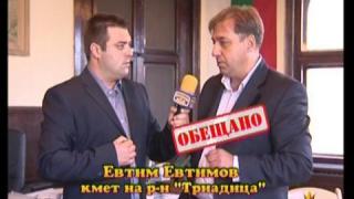 Бетон вместо зеленина