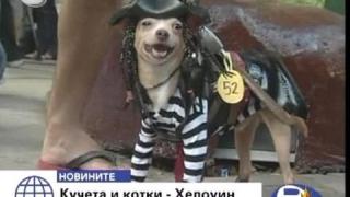 Тюрлюгювеч