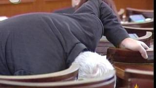 Мълчаливи депутати