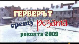 Герберът срещу Розата