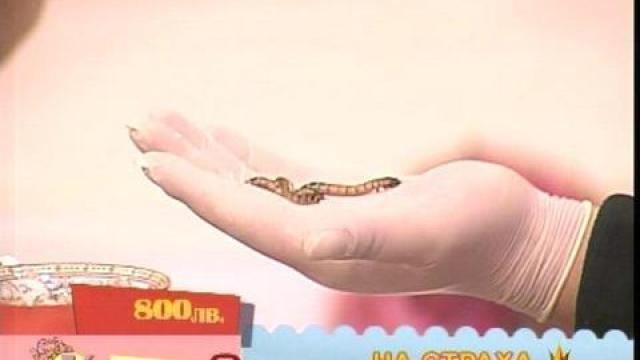 Червейчета на кафе