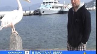 Зверове