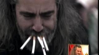 ВИП Брадър и канабис