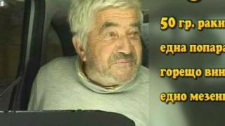 Абсурдите и свинския грип