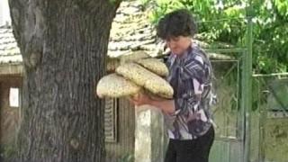 Боб със сливи