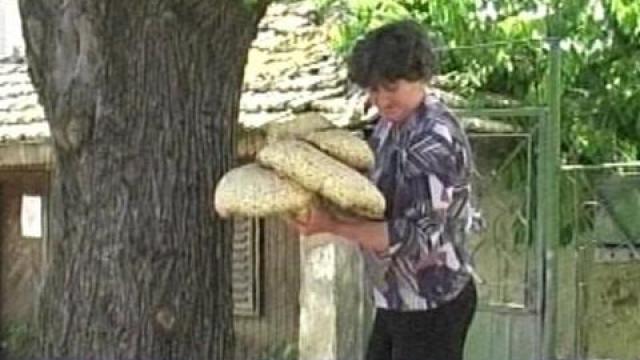 Боб със сливи