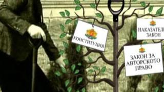 От депутати дървесата ги болят