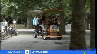 Бирени куриози