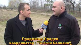 Незаконен пазар на птици