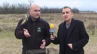 Тази вечер в „Господари на ефира”