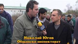 Незаконен пазар на птици 3