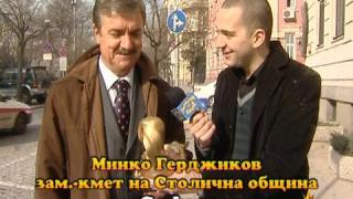 Златен скункс за Минко Герджиков