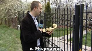 За кожата на един скункс