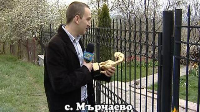 За кожата на един скункс