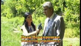 Занемарен парк