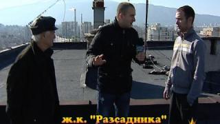 Гаргите умират сами