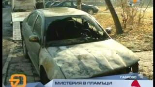 Палежи