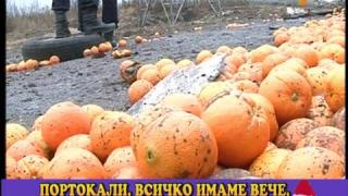Плодородната магистрала