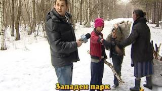 Незаконна сеч