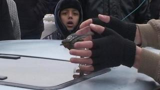 Тази вечер в „Господари на ефира”