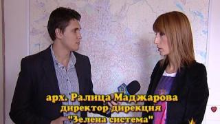 Незаконна сеч 2