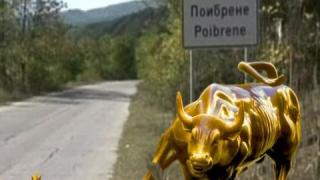 Бикът Йото