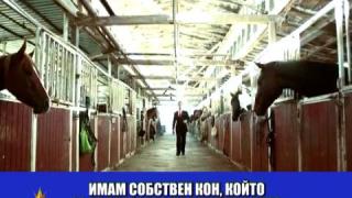 Американски битки