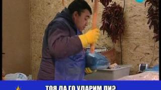 Акция "Шаран"