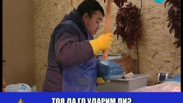 Акция "Шаран"