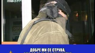 Под прикритие в тото пункта
