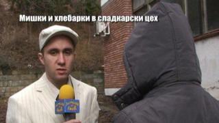 Мишки и хлебарки в сладкарски цех