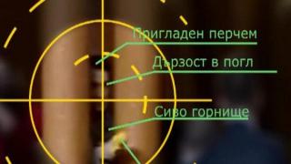 Николай Колев се завръща