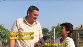 Млада меринджейка