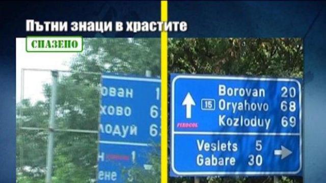 Пътни знаци в храстите 2