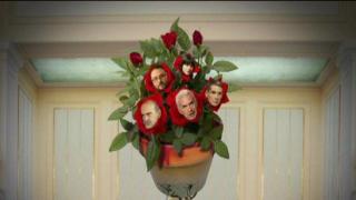 Цветето Атака