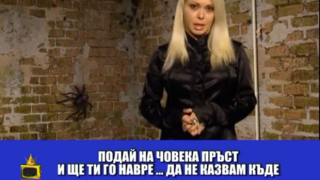 Вулева в атака