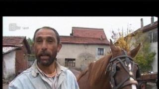 Улици без каруци