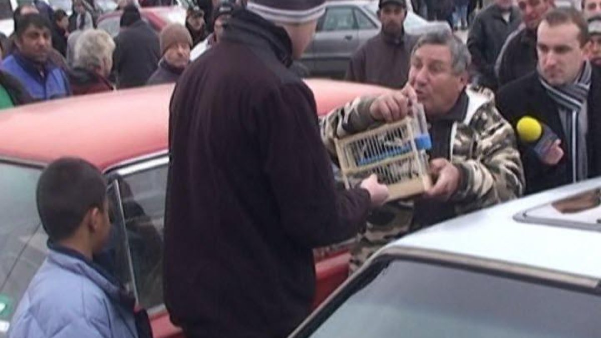 Тази вечер в „Господари на ефира“...