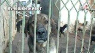 Тази вечер в "Господари на ефира"...